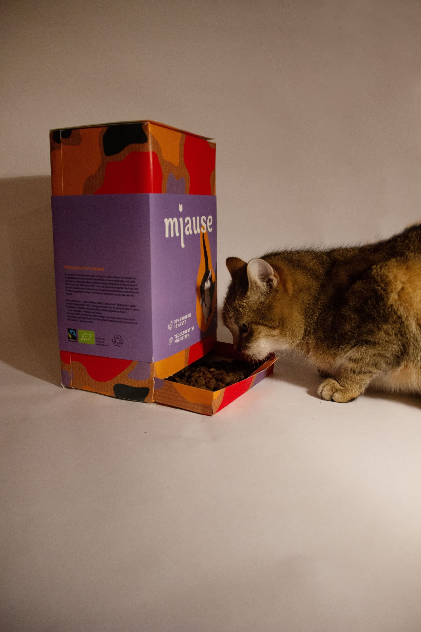 Box for cat dry food